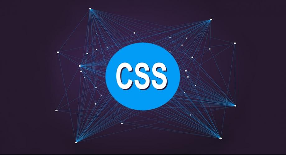 সিএসএস(CSS) টিউটোরিয়াল সিএসএস(CSS) টিউটোরিয়াল